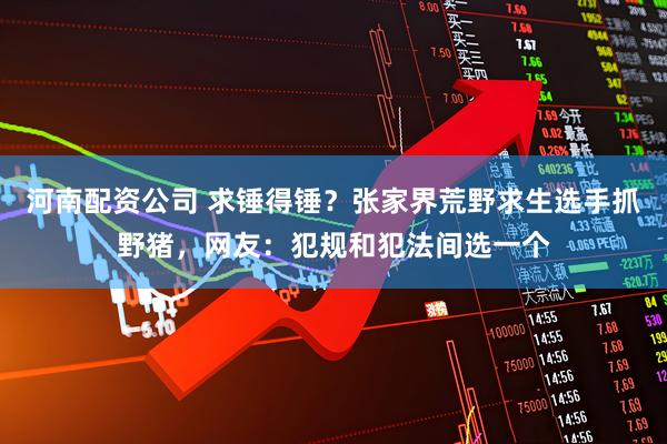 河南配资公司 求锤得锤？张家界荒野求生选手抓野猪，网友：犯规和犯法间选一个